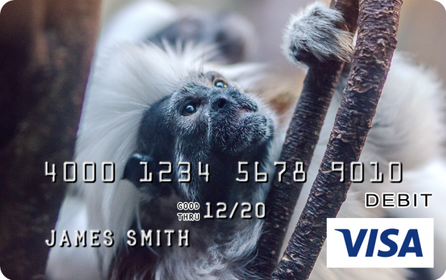 Monkey Design CARD.com Prepaid Visa® Card | CARD.com