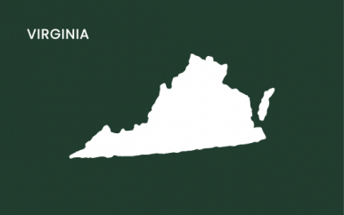 Virginia State Flag